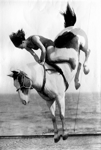 Black and white photo of Sonora Webster Carver diving on her horse