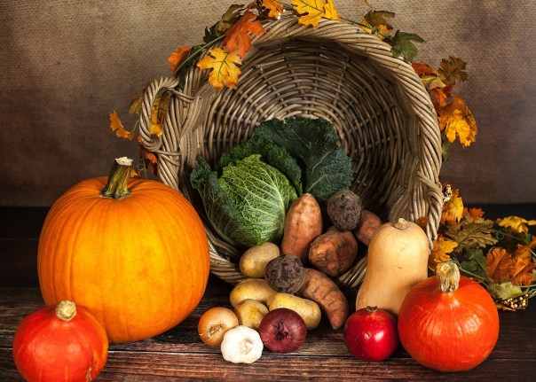 View of the inside of a basket filled with root vegetables like squash, pumpkin, potatoes, carrots and onions